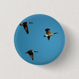 Canadian geese in flight button