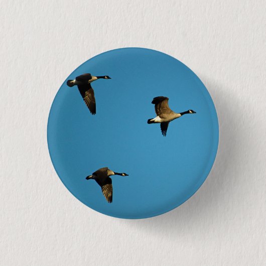 Canadian geese in flight button (Vorderseite)