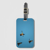 Canadian geese in flight gepäckanhänger (Vorderseite Vertikal)