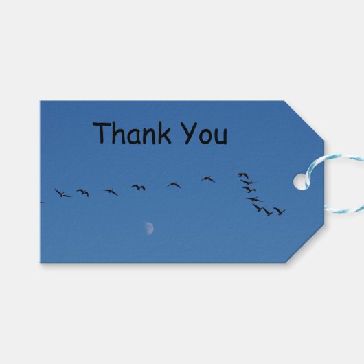 Canadian geese in flight geschenkanhänger (Vorderseite (Horizontal))