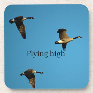 Canadian geese in flight getränkeuntersetzer