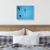 Canadian geese in flight leinwanddruck (Insitu (Schlafzimmer))