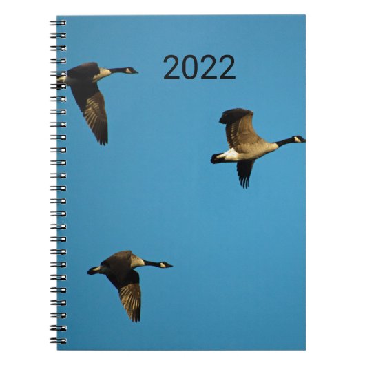 Canadian geese in flight notizblock (Vorderseite)