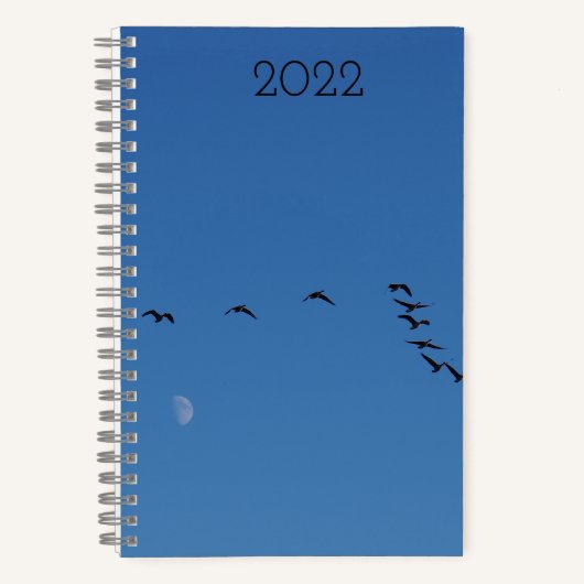 Canadian geese in flight notizblock (Vorderseite)