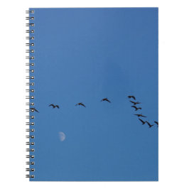 Canadian geese in flight notizblock