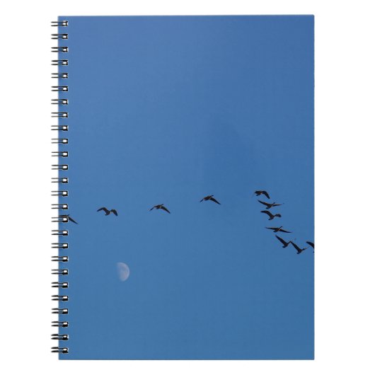 Canadian geese in flight notizblock (Vorderseite)