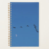 Canadian geese in flight planer (Vorderseite)