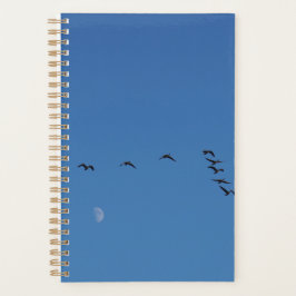 Canadian geese in flight planer