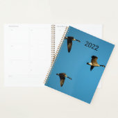 Canadian geese in flight planer (Anzeige)