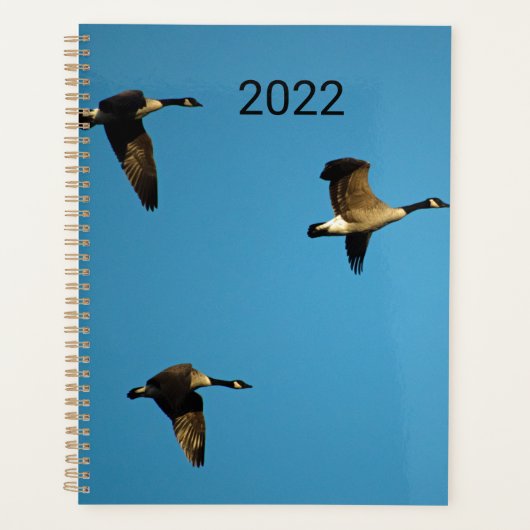 Canadian geese in flight planer (Vorderseite)