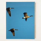 Canadian geese in flight planer (Rückseite)
