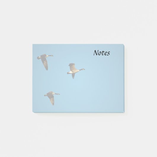 Canadian geese in flight post-it klebezettel (Vorderseite)