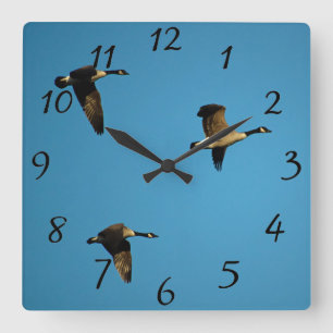 Canadian geese in flight quadratische wanduhr