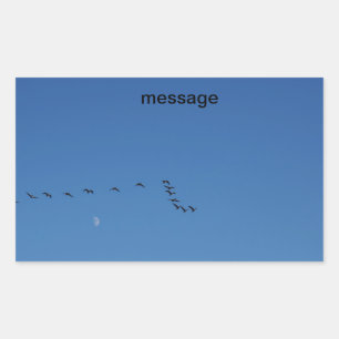 Canadian geese in flight rechteckiger aufkleber