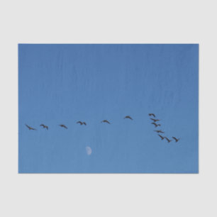 Canadian geese in flight seidenpapier