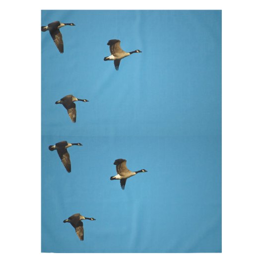 Canadian geese in flight tischdecke (Vorderseite)
