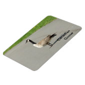 Canadian Gose Flexible Magnet (Linke Seite)