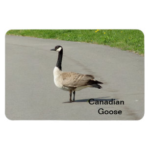 Canadian Gose Flexible Magnet