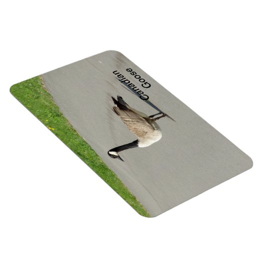 Canadian Gose Flexible Magnet (Rechte Seite)