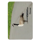 Canadian Gose Flexible Magnet (Vertikal)
