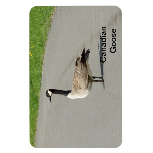 Canadian Gose Flexible Magnet (Vertikal)