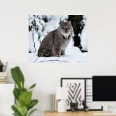 Canadian Lynx in the Snow Poster (Heimbüro)