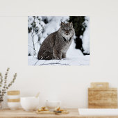 Canadian Lynx in the Snow Poster (Küche)
