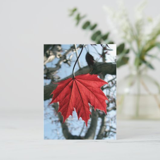 Canadian Maple Leaf Postkarte (Stehend Vorderseite)