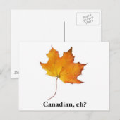 Canadian Maple Leaf Postkarte (Vorne/Hinten)