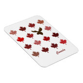 Canadian Maple Leaf und Elche Magnet (Rechte Seite)