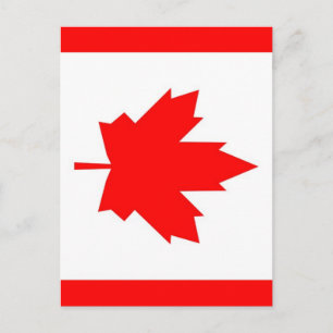 Canadian Maple Postkarte