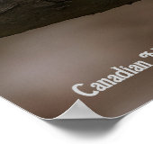 Canadian Marble Fox Poster (Ecke)