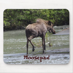 Canadian Moose Funny Wildlife Mousepad