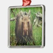 Canadian Moose Ornament Aus Metall (Links)
