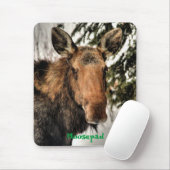 Canadian Moose Portrait Funny Wildlife Mousemat Mousepad (Mit Mouse)