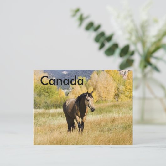 Canadian Postccard Postkarte (Stehend Vorderseite)