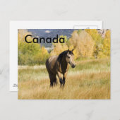 Canadian Postccard Postkarte (Vorne/Hinten)