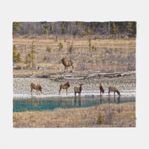 Canadian Rockies Wapiti (Elk) Fleecedecke