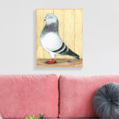 Canadian Show Tippler Taube Blue Grizzle Leinwanddruck (Insitu (Wohnzimmer))