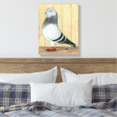 Canadian Show Tippler Taube Blue Grizzle Leinwanddruck (Insitu (Schlafzimmer))