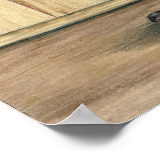 Canadian Show Tippler Taube Blue Grizzle Poster (Ecke)