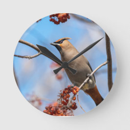 Canadian Sky Beauty: Bohemisches Waxwing Foto Runde Wanduhr