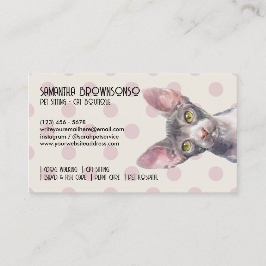 Canadian Sphynx Cat Dot Muster Visitenkarte (Rückseite)