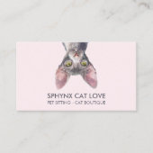 Canadian Sphynx Cat Visitenkarte (Vorderseite)