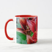 Canadian Stargazer Lily - Wohlstand und Überfluss Tasse (Links)