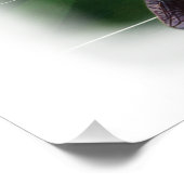 Canadian Statue Celebrates Football on a Poster (Ecke)