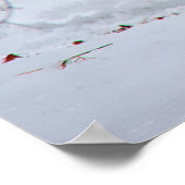 Canadian Whitetail Buck Poster (Ecke)