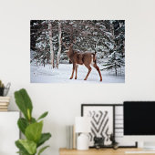 Canadian Whitetail Buck Poster (Heimbüro)