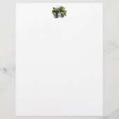 CANALS Advisor Cards (Vorderseite)