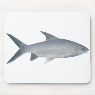 Canara Barb Mousepad